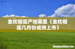 金枕榴莲几月份成熟上市 金枕榴莲产地哪里
