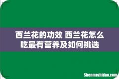 西兰花的功效 西兰花怎么吃最有营养及如何挑选