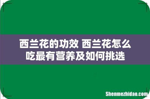 西兰花的功效 西兰花怎么吃最有营养及如何挑选