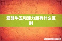 爱酷牛五和活力版有什么区别