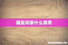 猫鼠同家什么意思