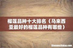 马来西亚最好的榴莲品种有哪些 榴莲品种十大排名