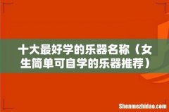 女生简单可自学的乐器推荐 十大最好学的乐器名称