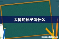 大舅的孙子叫什么