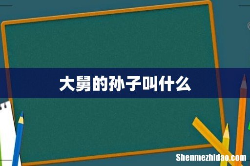 大舅的孙子叫什么