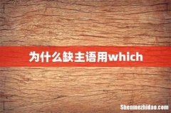 为什么缺主语用which