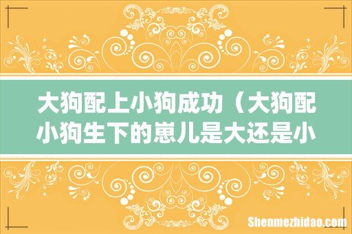 大狗配上小狗成功(大狗配小狗生下的崽儿是大还是小的)