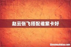 赵云张飞搭配谁紫卡好