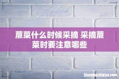蕨菜什么时候采摘 采摘蕨菜时要注意哪些