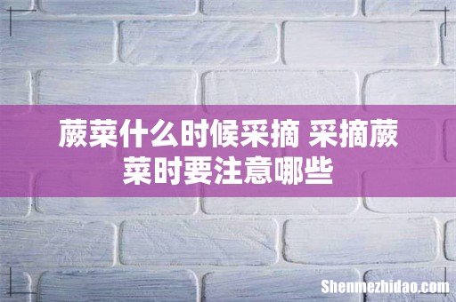 蕨菜什么时候采摘 采摘蕨菜时要注意哪些