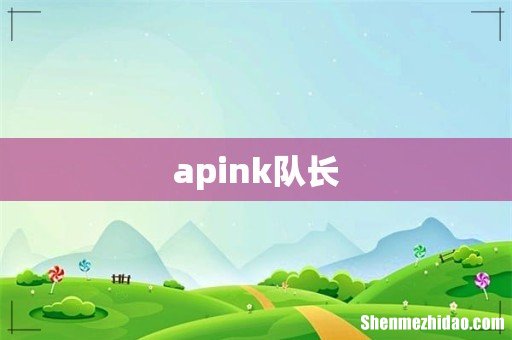 apink队长