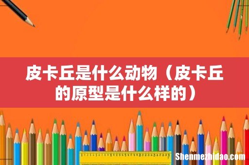 皮卡丘的原型是什么样的 皮卡丘是什么动物