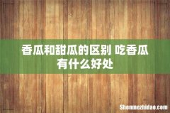 香瓜和甜瓜的区别 吃香瓜有什么好处