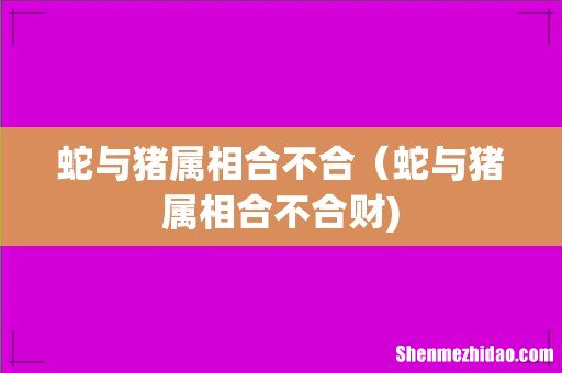 蛇与猪属相合不合(蛇与猪属相合不合财)