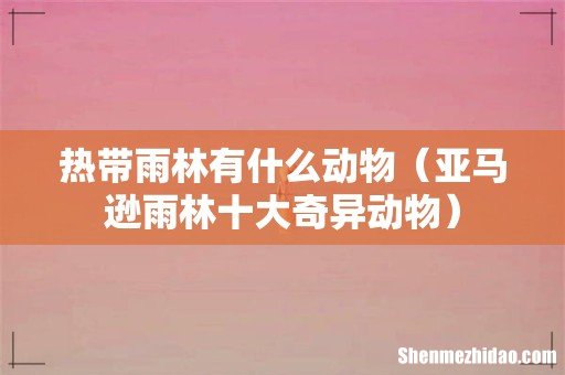 亚马逊雨林十大奇异动物 热带雨林有什么动物