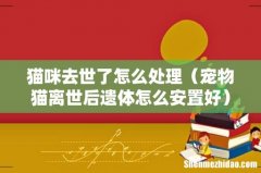 宠物猫离世后遗体怎么安置好 猫咪去世了怎么处理