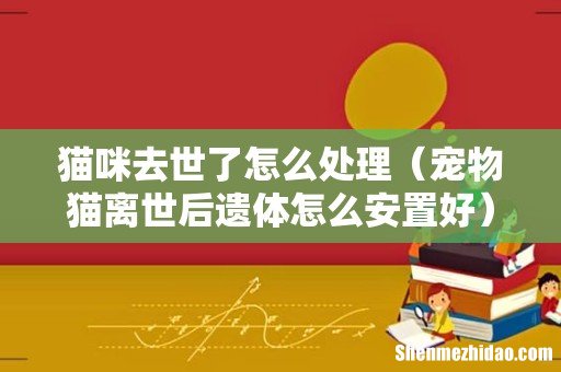 宠物猫离世后遗体怎么安置好 猫咪去世了怎么处理
