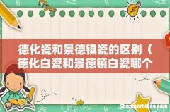 德化白瓷和景德镇白瓷哪个好 德化瓷和景德镇瓷的区别
