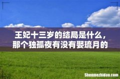 王妃十三岁的结局是什么，那个独孤夜有没有娶琉月的女儿啊
