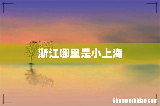 浙江哪里是小上海