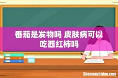 番茄是发物吗 皮肤病可以吃西红柿吗