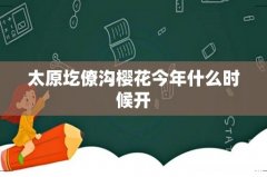 太原圪僚沟樱花今年什么时候开