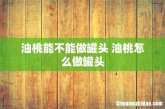 油桃能不能做罐头 油桃怎么做罐头