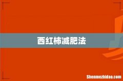 西红柿减肥法