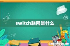 switch联网是什么