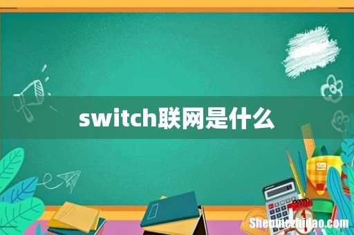 switch联网是什么