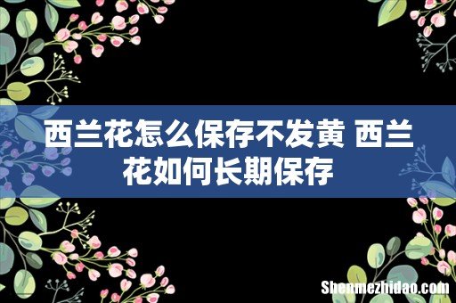 西兰花怎么保存不发黄 西兰花如何长期保存