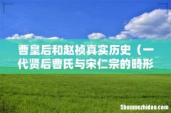 一代贤后曹氏与宋仁宗的畸形爱情 曹皇后和赵祯真实历史