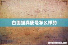 白面狸粪便是怎么样的