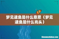 梦见逮鱼是什么兆头 梦见逮鱼是什么意思