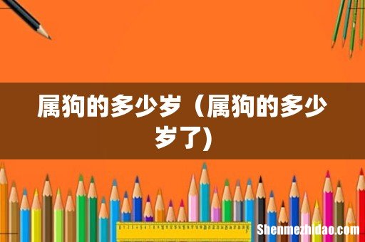 属狗的多少岁(属狗的多少岁了)