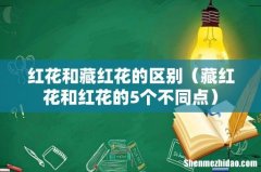 藏红花和红花的5个不同点 红花和藏红花的区别