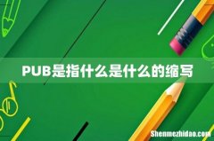 PUB是指什么是什么的缩写