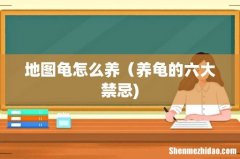 地图龟怎么养（养龟的六大禁忌)