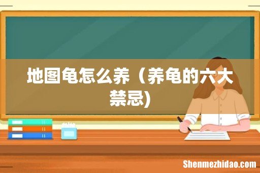 地图龟怎么养(养龟的六大禁忌)