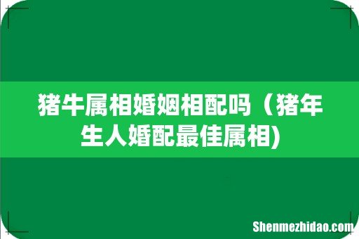 猪牛属相婚姻相配吗(猪年生人婚配最佳属相)