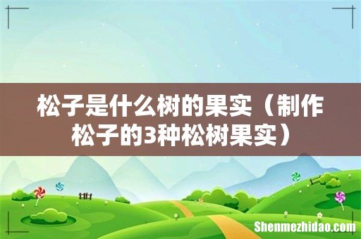 制作松子的3种松树果实 松子是什么树的果实