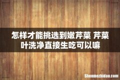 怎样才能挑选到嫩芹菜 芹菜叶洗净直接生吃可以嘛
