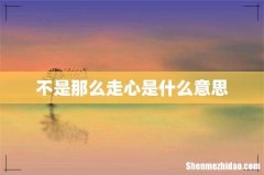 不是那么走心是什么意思