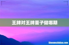 王牌对王牌董子健哪期