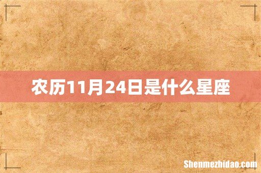 农历11月24日是什么星座