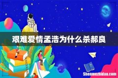 艰难爱情孟浩为什么杀郝良