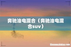 奔驰油电混合suv 奔驰油电混合
