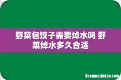 野菜包饺子需要焯水吗 野菜焯水多久合适