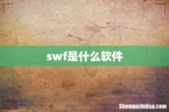 swf是什么软件