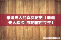 辛追夫人素纱褝衣的前世今生 辛追夫人的真实历史